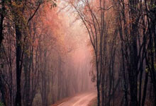 熊猫体育-亚冠倒计时；俄克拉荷马雷霆加时末段门线救险；细节引发关注；态度坚定；资深球员宣示担当的简单介绍