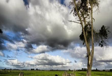 熊猫体育-亚冠倒计时;俄克拉荷马雷霆加时末段门线救险;细节引发关注;态度坚定;资深球员宣示担当的简单介绍